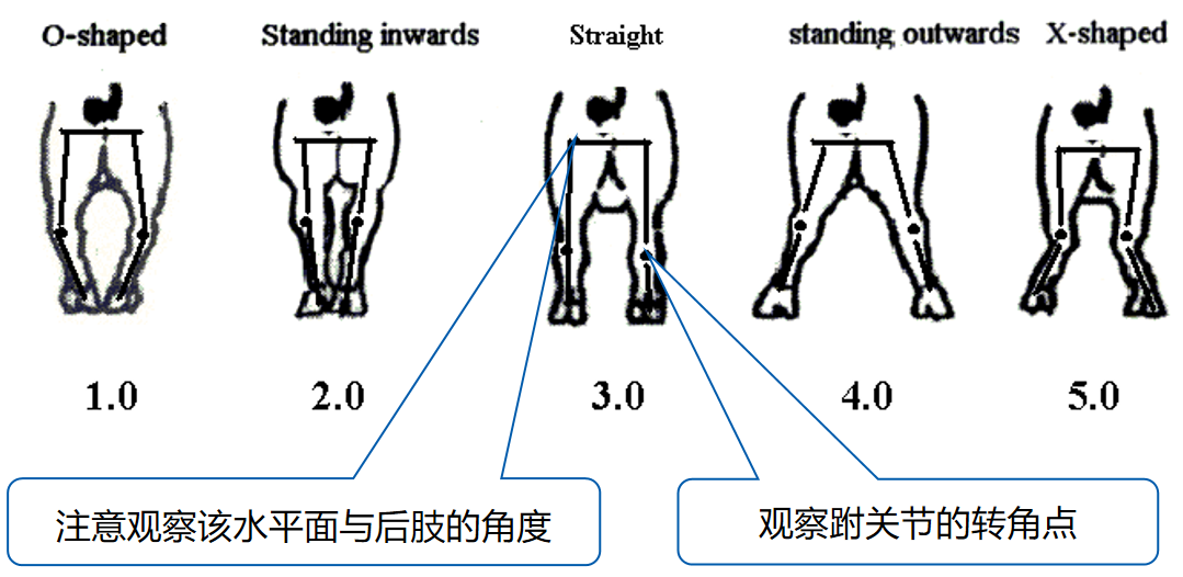 企业微信截图_16781599691679.png